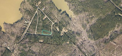 Strom Thurmond / Clarks Hill Lake Acreage For Sale in Lincolnton Georgia