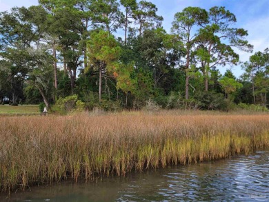 Blackwater River Lot For Sale in Milton Florida