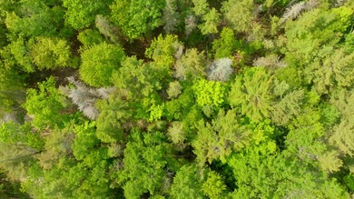 Lake Michigan - Charlevoix County Lot Sale Pending in Beaver Island Michigan