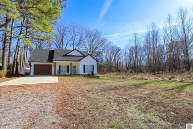 What a gem, basically brand new (built in 2023), lake - photo 2