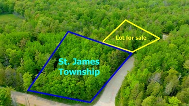 This building lot offers the perfect opportunity to create your - photo 3