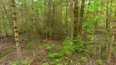 This building lot offers the perfect opportunity to create your - photo 4