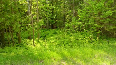 This building lot offers the perfect opportunity to create your - photo 5