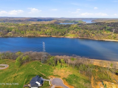 Discover a rare opportunity to own nearly one acre in Tennessee - photo 1