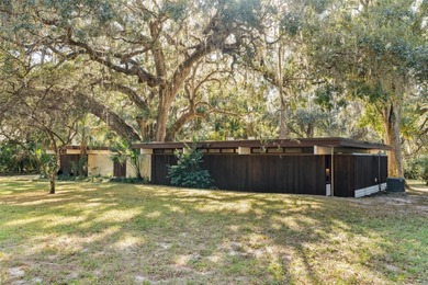 Newnans Lake Home Sale Pending in Gainesville Florida