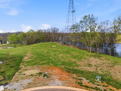Discover a rare opportunity to own nearly one acre in Tennessee - photo 3