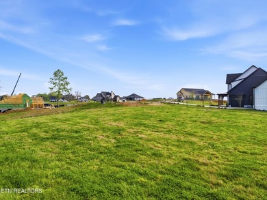 Discover a rare opportunity to own nearly one acre in Tennessee - photo 4