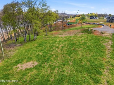 Discover a rare opportunity to own nearly one acre in Tennessee - photo 5