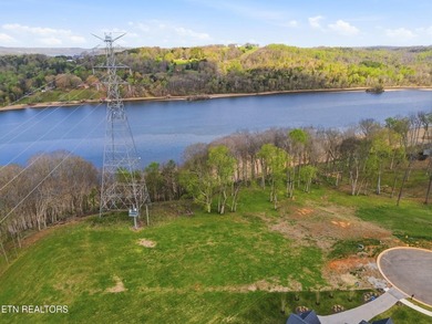 Discover a rare opportunity to own nearly one acre in Tennessee - photo 6