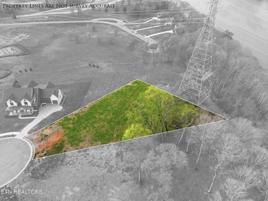 Discover a rare opportunity to own nearly one acre in Tennessee - photo 8