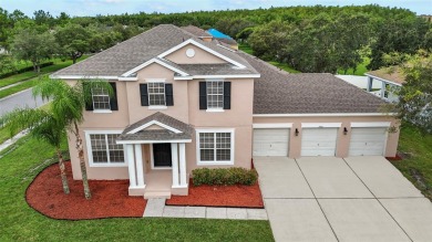 (private lake, pond, creek) Home For Sale in Kissimmee Florida