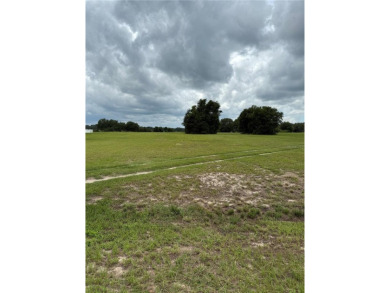 Lake Acreage For Sale in Groveland, Florida