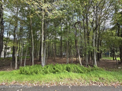 Lake Lot For Sale in Albrightsville, Pennsylvania