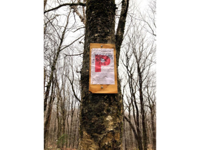 (private lake, pond, creek) Lot For Sale in Wilmington Vermont