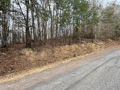 Lot 77 Grandpas Ridge is a highly private 1.05 acre corner - photo 1