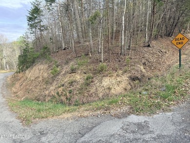 Lot 77 Grandpas Ridge is a highly private 1.05 acre corner - photo 2