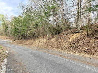 Lot 77 Grandpas Ridge is a highly private 1.05 acre corner - photo 3