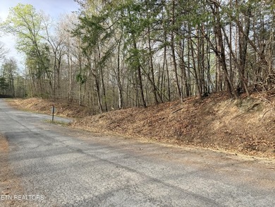 Lot 77 Grandpas Ridge is a highly private 1.05 acre corner - photo 4