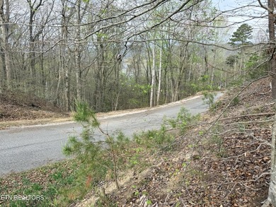 Lot 77 Grandpas Ridge is a highly private 1.05 acre corner - photo 5