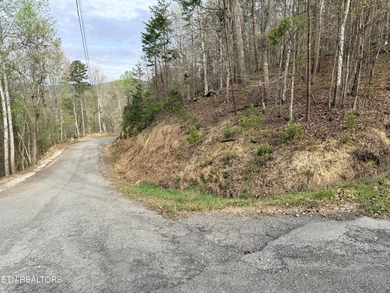 Lot 77 Grandpas Ridge is a highly private 1.05 acre corner - photo 6