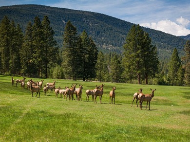 Welcome to the Two Feathers Ranch located outside Darby, Montana - photo 6