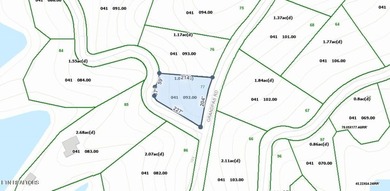 Lot 77 Grandpas Ridge is a highly private 1.05 acre corner - photo 7