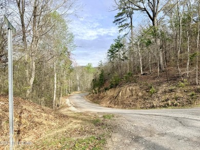 Lot 77 Grandpas Ridge is a highly private 1.05 acre corner - photo 9