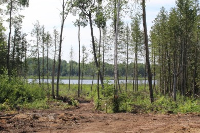 (pending lake) Acreage Active Under Con in Germfask Michigan