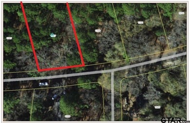 Lake Lot For Sale in Hideaway, Texas