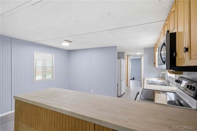 Experience the gold standard of energy efficiency in Homosassa! - photo 12