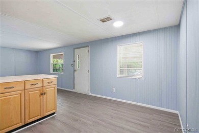 Experience the gold standard of energy efficiency in Homosassa! - photo 15