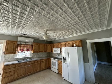 Early 1900's Victorian Home located on 0.36 acre lot in Island - photo 8