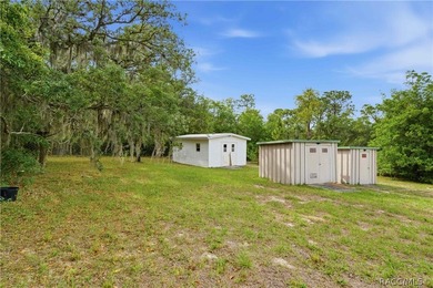 Experience the gold standard of energy efficiency in Homosassa! - photo 25