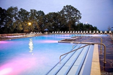 3.84 stunning acres of breath taking lakefront land! Developer