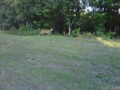 3.84 stunning acres of breath taking lakefront land! Developer