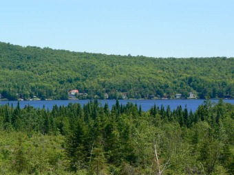 Lake Acreage Off Market in Canaan, Vermont