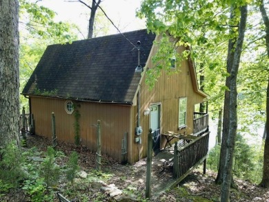 This Lakefront Fixer Could Be Fabulous! - Lake Home For Sale in Leitchfield, Kentucky