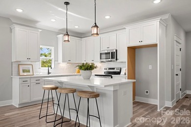 Lake Norman Access Without the Waterfront Price Tag! Bring your - photo 16