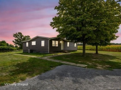 Lake Home For Sale in Waldron, Michigan