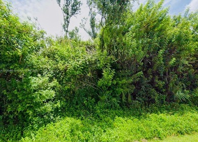 Port Charlotte Waterway Area Lot For Sale in Port Charlotte Florida