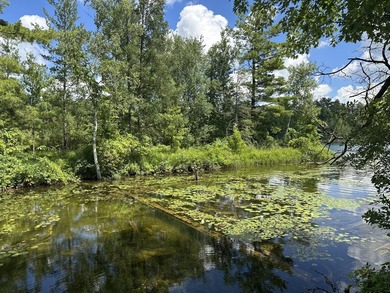 Additional listing photo 1
