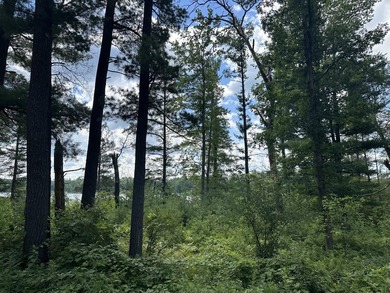 Rare acreage opportunity on quiet North Lake! This peninsula has - photo 7