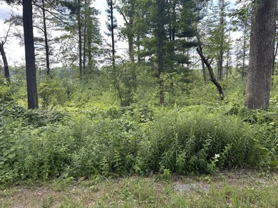 Rare acreage opportunity on quiet North Lake! This peninsula has - photo 8
