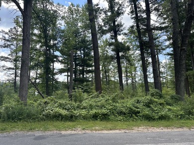 Rare acreage opportunity on quiet North Lake! This peninsula has - photo 10