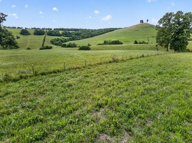 The Pocket Hollow Ranch is a large, contiguous acreage situated - photo 11