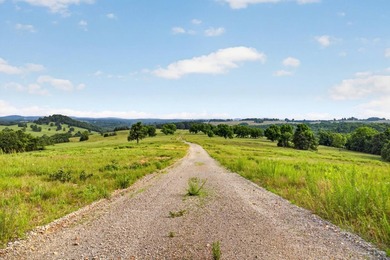 The Pocket Hollow Ranch is a large, contiguous acreage situated - photo 12