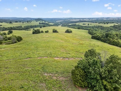 The Pocket Hollow Ranch is a large, contiguous acreage situated - photo 13