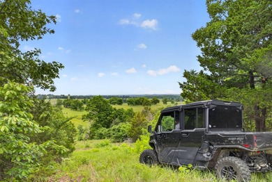 The Pocket Hollow Ranch is a large, contiguous acreage situated - photo 15