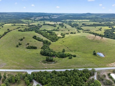 The Pocket Hollow Ranch is a large, contiguous acreage situated - photo 17