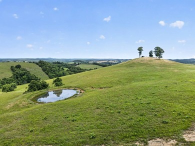 The Pocket Hollow Ranch is a large, contiguous acreage situated - photo 18